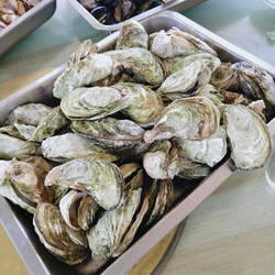 老师你的兔兔子好软水软件功能演示